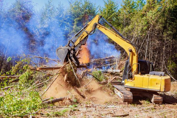 Rapid City Land Clearing