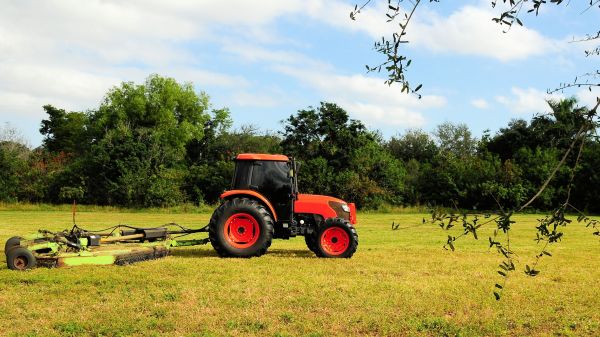 Rapid City Bush Hogging